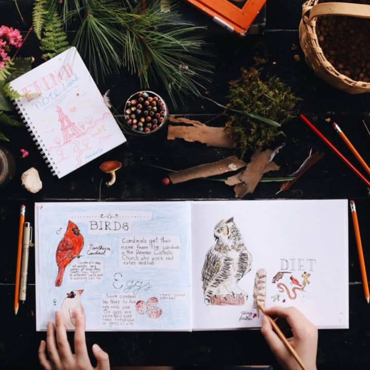 A nature journal open to hand-painted birds