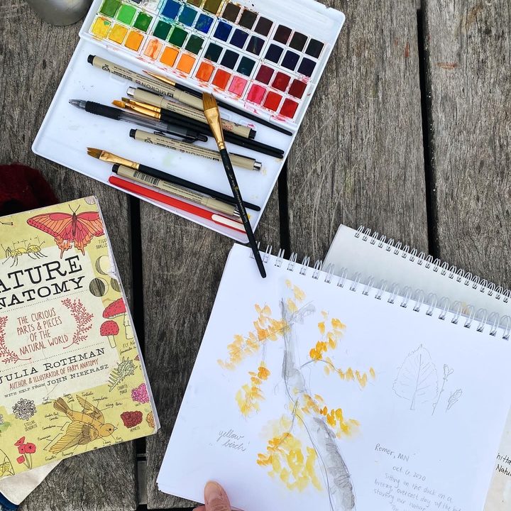 Watercolors, brushes and a nature anatomy book on a wooden table